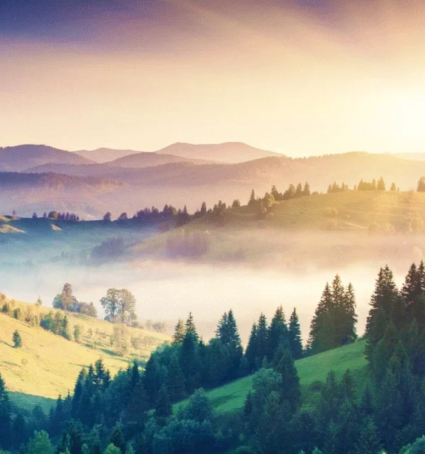 Misty Mountain Morning