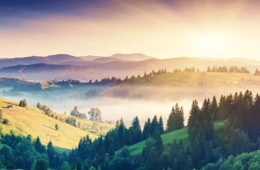 Misty Mountain Morning